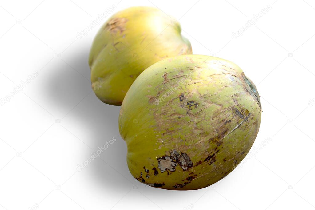 Two coconut fruit green bark mixed with brown bruises. on white background.