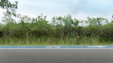 Asfalt yolun yatay ya da peyzaj manzarası. Yol kenarında mavi arka planda bisiklet sembolü olan bir bisiklet yolu var. Mavi gökyüzü ve beyaz bulutların altında yeşil çimenlerin arka planı.