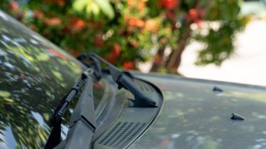 Arabanın ön cam sileceklerini kaputa kapatın. Bulanık yeşil yapraklar ve kırmızı çiçekler doğa arka planı. Gündüz araç detayı kavramı.