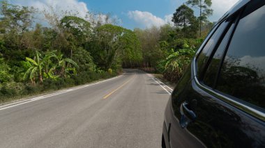 Lüks arabanın asfalt yolda sırtüstü sürüşünü izleyin. Yolun kenarları kırsal bitki örtüsü ve ağaçlarla kaplıydı. Ve ormanda uzun görkemli ağaçlar. Mavi gökyüzü ve beyaz bulutların altında.