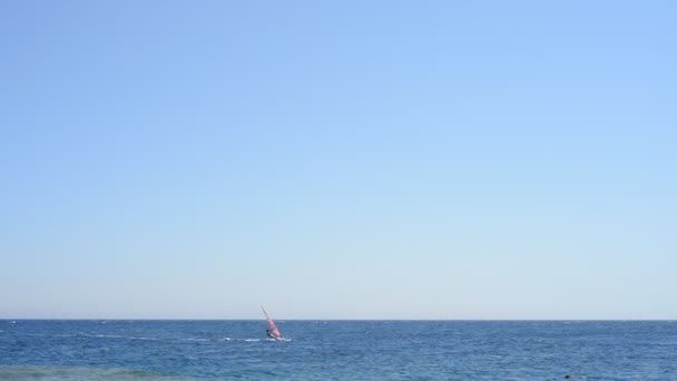 Planche à voile et Mer Rouge — Video