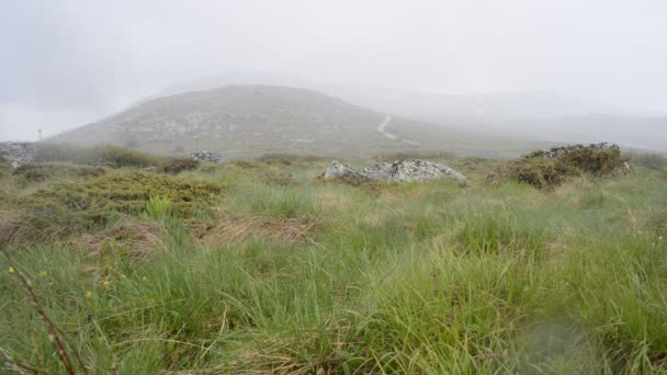 Pluie sur une montagne 