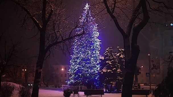 Kerstboom in besneeuwde nacht — Stockvideo