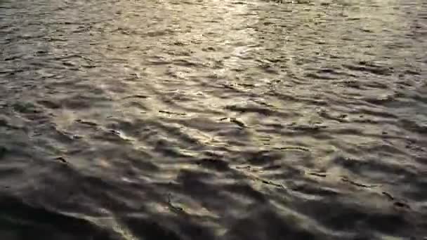 Texture dell'acqua nel fiume Nilo — Video Stock