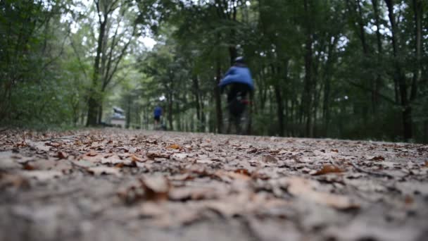 Montar en bicicleta — Vídeo de stock