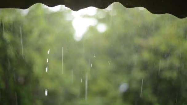 緑の背景を持つファームで屋根から雨が降っています。 — ストック動画