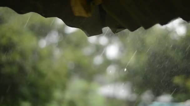 Regnar från taket i gården med grön bakgrund — Stockvideo