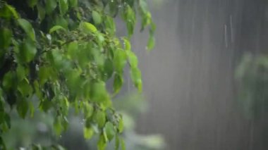 Yola düşen yağmur