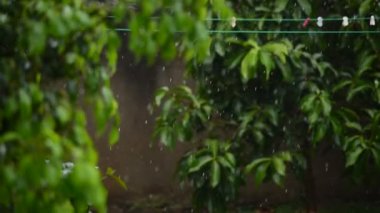 Yola düşen yağmur