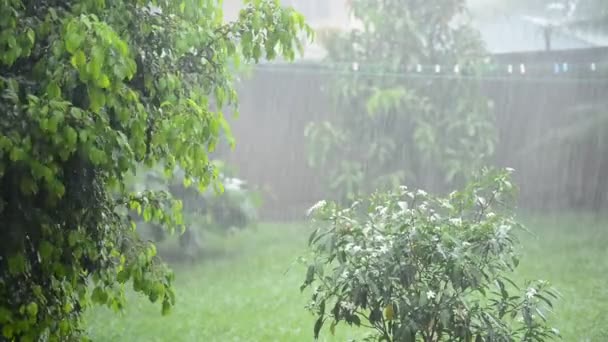 Regen vallen op de weg — Stockvideo