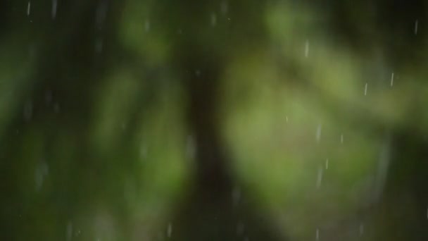 Regn faller på vägen — Stockvideo