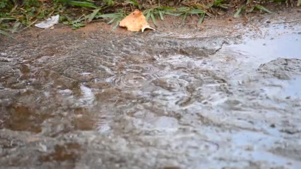 Regn faller på vägen — Stockvideo