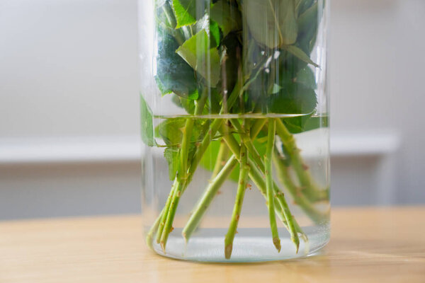 Flower stems immersed in clear water inside transparent glass vase placed on wooden surface offering detailed view of cut greenery