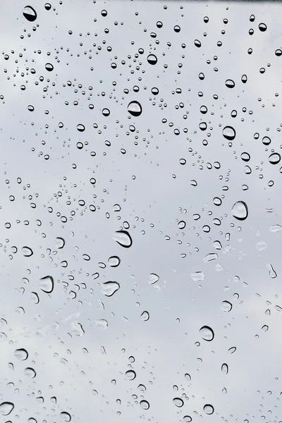 在透明的塑料雨伞上的纹理雨 — 图库照片