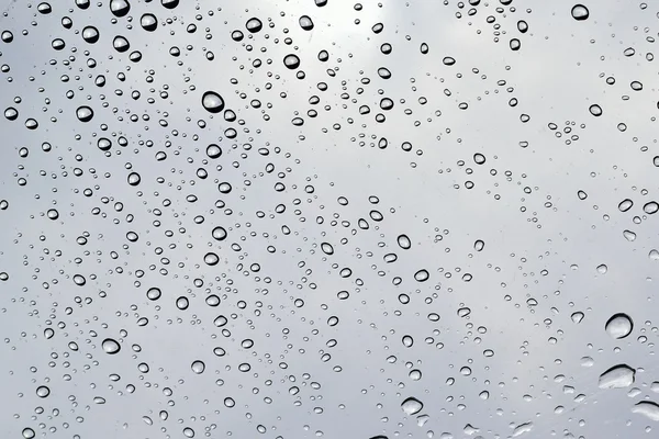 Şeffaf plastik şemsiye üzerinde arka plan yağmur damlaları