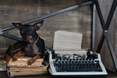 Küçük güzel siyah köpek ve antika ve eski daktilo ve eski el yazmaları ve kitaplar.
