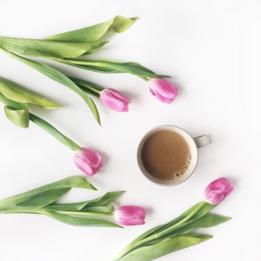 Beyaz arka plan üzerinde izole süt ve Pembe Lale ile kahve havai görünümü