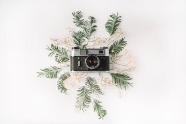 Düz yatıyordu. Retro Vintage Fotoğraf kamera, sarı Mimoza ve yeşil Cay