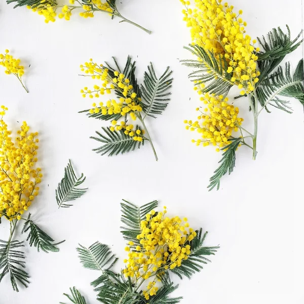 白い背景に分離された黄色のミモザ パターンの花束のオーバー ヘッド ビュー — ストック写真
