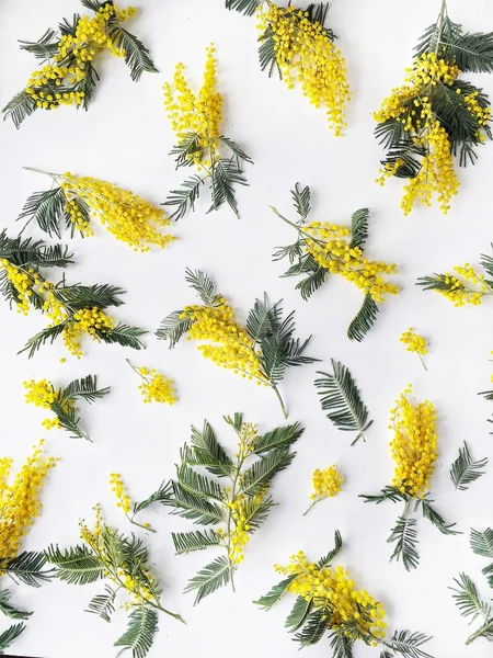 Bovenaanzicht van boeket van gele mimosa patroon geïsoleerd op witte achtergrond — Stockfoto