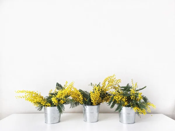 Bukett av gula mimosa i hink isolerad på vit bakgrund — Stockfoto