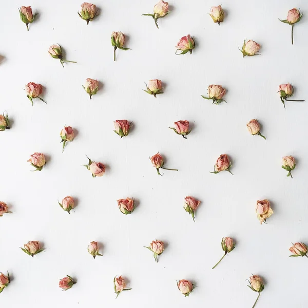 Pattern with pink roses at white background — Stock Photo, Image