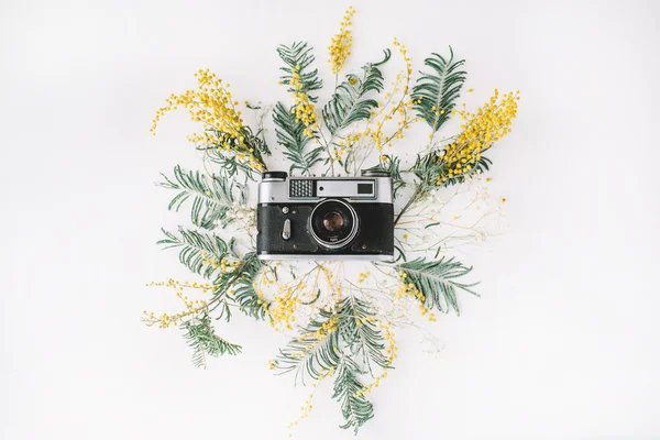 Flach lag. Retro-Fotokamera, gelbe Mimosen und grüne Brunches — Stockfoto