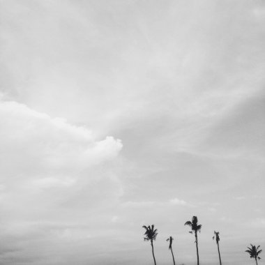 Avuç içi ile siyah beyaz resim