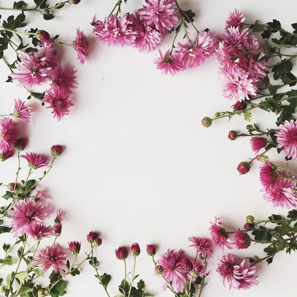 Bakgrund med runda blommor. — Stockfoto