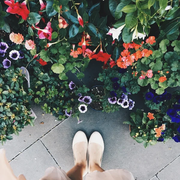 Female Legs near flowers — Stock Image Female Legs near flowers Royalty Free Stock Photos