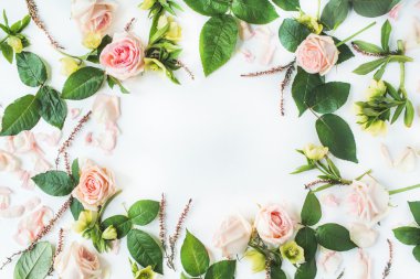 pembe Gül, dalları ile çerçeve 