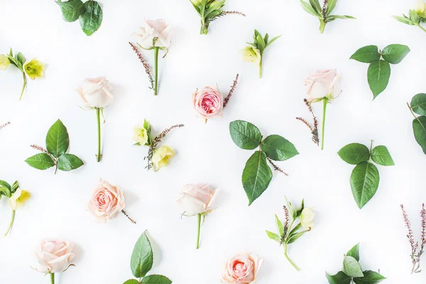 Roze rozen en groene bladeren — Stockfoto