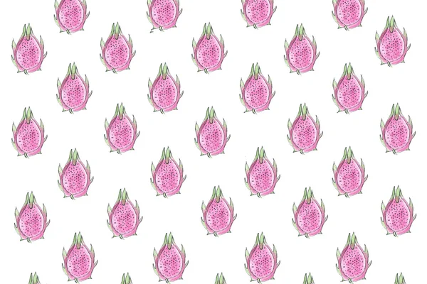 Ροζ pitaya μοτίβο ζωγραφισμένα — Φωτογραφία Αρχείου