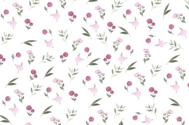 Pembe çilek, pembe güller