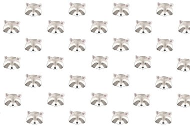 Rakun desen suluboya ile boyalı  