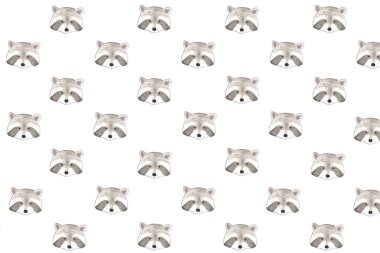 Rakun desen suluboya ile boyalı  