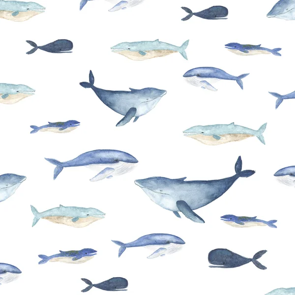 Baleine bleue et motif dauphin — Photo
