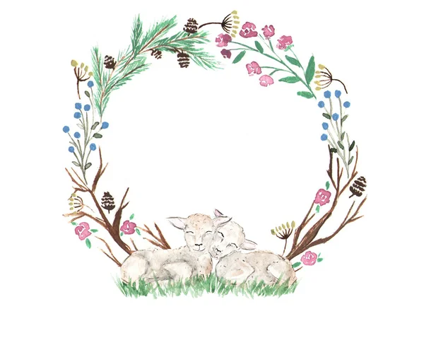 İki Kuzuların, iğneler, koniler 