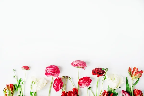 Pink and white roses or ranunculus and tulips — Stock Photo, Image