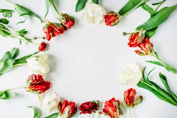 Krans ram med röda och vita rosor — Stockfoto