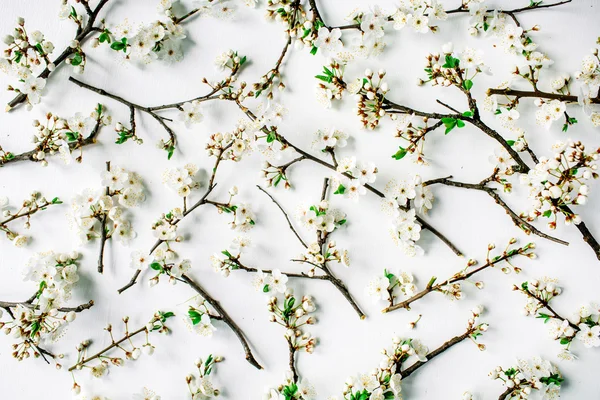 Mönster med vita blommor — Stockfoto