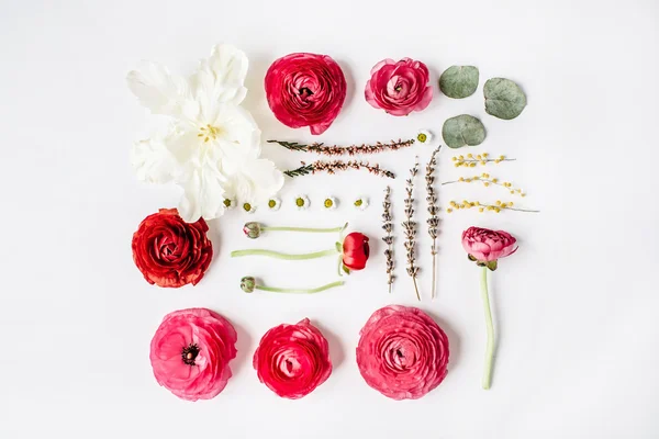 Rosas o ranúnculos rosados y rojos, tulipanes blancos y hojas verdes — Foto de Stock