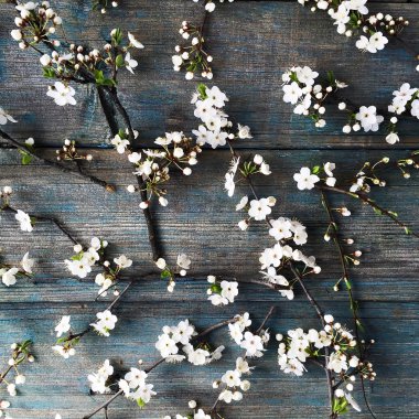 Desen beyaz çiçekler ve dalları ile  