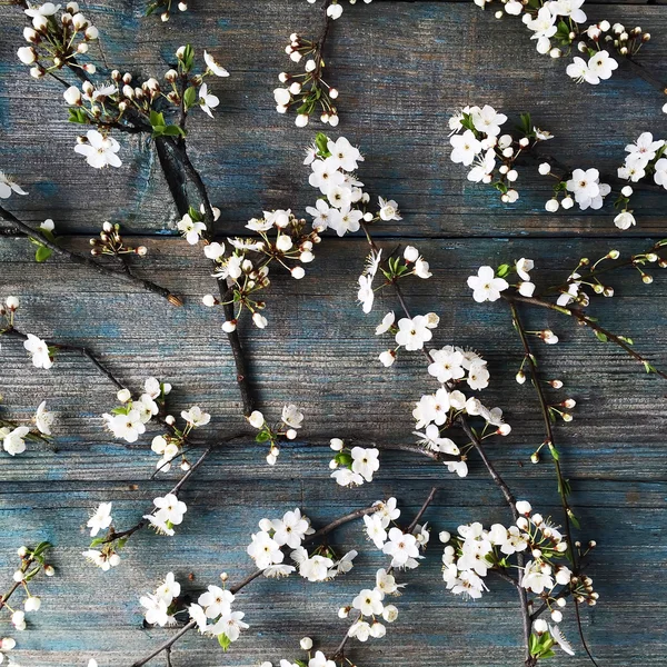 Desen beyaz çiçekler ve dalları ile  