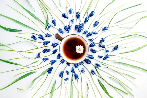 Blume der blauen Muscari und Tasse Tee — Stockfoto