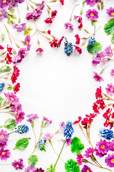 Wreath frame with wildflowers — Stock Photo, Image