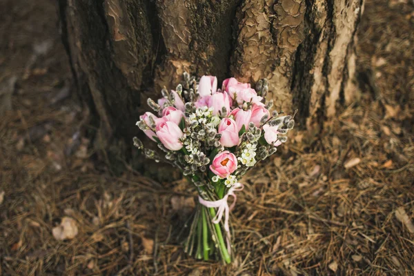 Csokor tulipán és a punci fűzfa — Stock Fotó