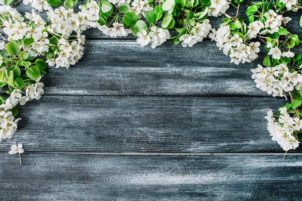 Frame with white flowers and branches — Stock Photo, Image