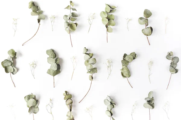 Green leaves and white flowers — Stock Photo, Image