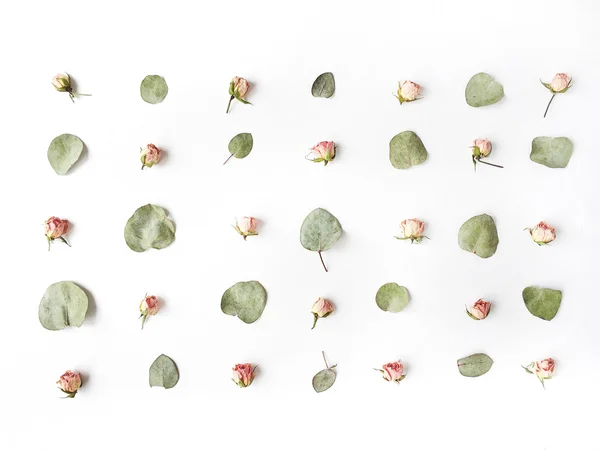 Green leaves pattern and pink roses buds — Stock Photo, Image